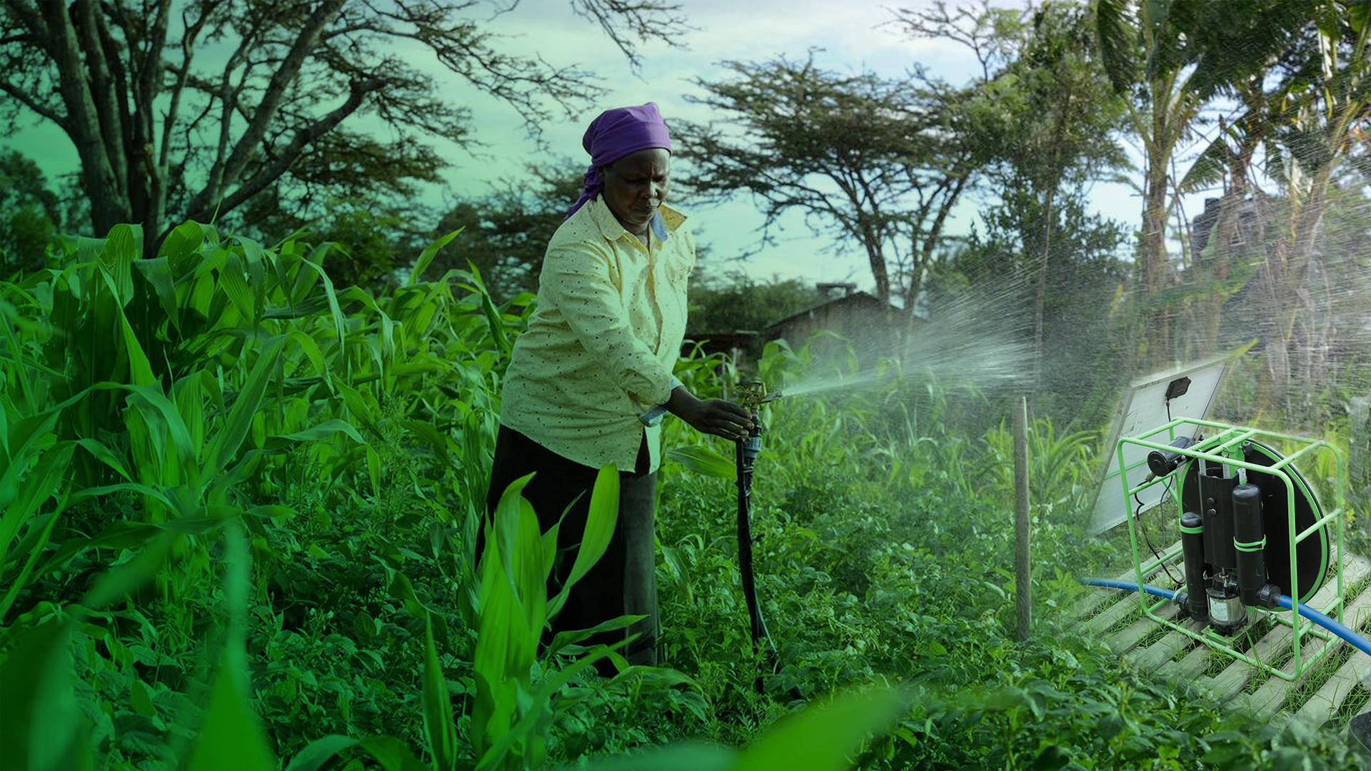 Solar powered irrigation system for smallholder farmers